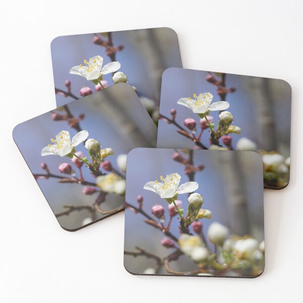 Item preview, Cherry blossoms and plum blossoms in spring with a dark blue background designed and sold by Binas-gallery.