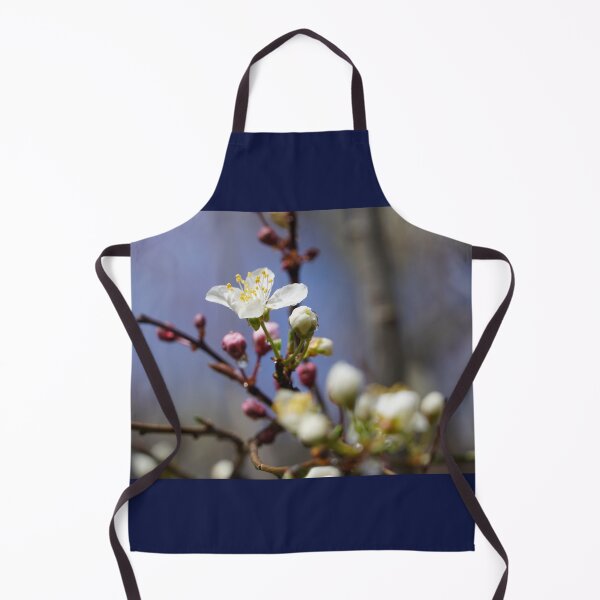 Item preview, Cherry blossoms and plum blossoms in spring with a dark blue background designed and sold by Binas-gallery.