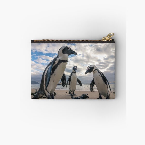 Item preview, Close up of African penguins on Boulders Beach designed and sold by Koolmees.