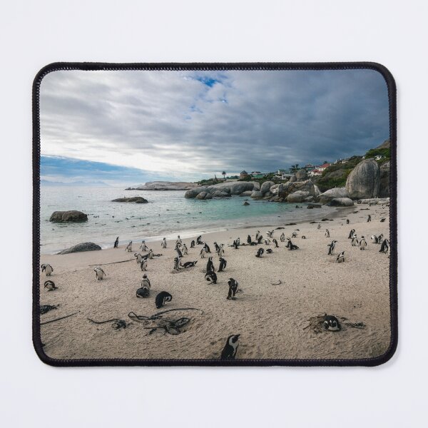 Item preview, Pinguins on Boulders Beach designed and sold by Koolmees.