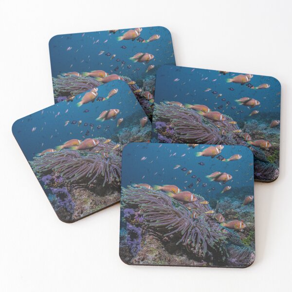 Item preview, Anemone fish  designed and sold by Carlos Donoso.