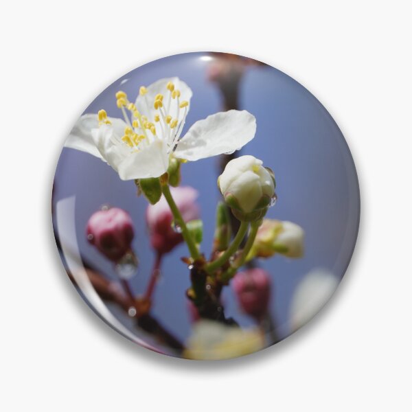 Item preview, Cherry blossoms and plum blossoms in spring with pink background designed and sold by Binas-gallery.