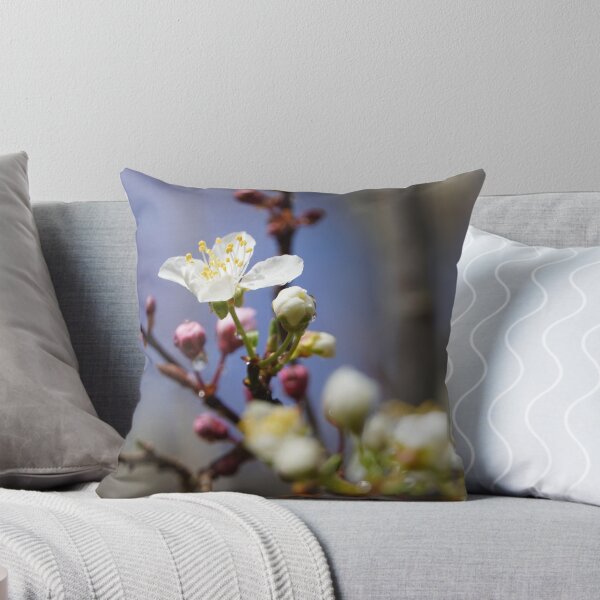 Item preview, Cherry blossoms and plum blossoms in spring with pink background designed and sold by Binas-gallery.