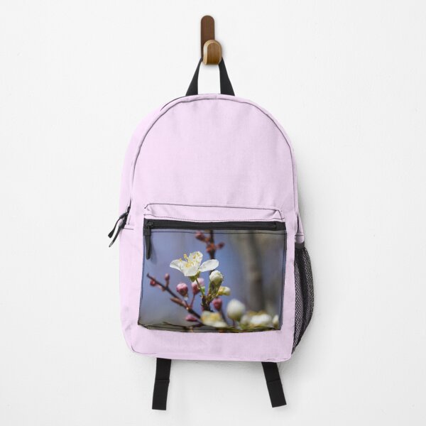 Item preview, Cherry blossoms and plum blossoms in spring with pink background designed and sold by Binas-gallery.