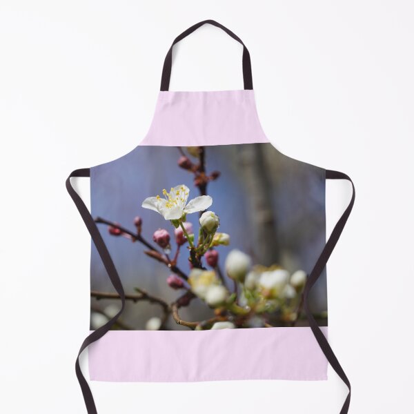Item preview, Cherry blossoms and plum blossoms in spring with pink background designed and sold by Binas-gallery.