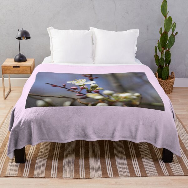 Item preview, Cherry blossoms and plum blossoms in spring with pink background designed and sold by Binas-gallery.