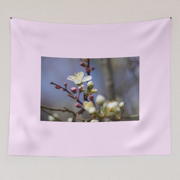 Item preview, Cherry blossoms and plum blossoms in spring with pink background designed and sold by Binas-gallery.