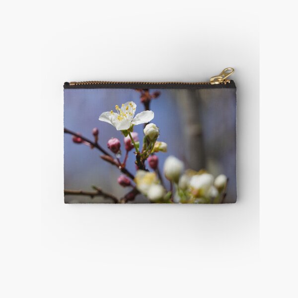 Artikelvorschau, Kirschblüten und Pflaumenblüten im Frühling mit blauem Hintergrund entworfen und verkauft von Binas-gallery.