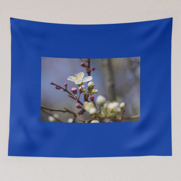 Item preview, Cherry blossoms and plum blossoms in spring with a blue background designed and sold by Binas-gallery.