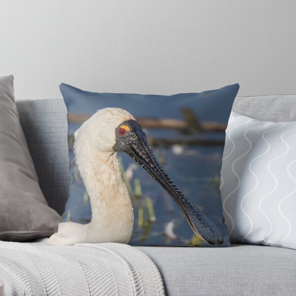 Item preview, Royal Spoonbill designed and sold by Kym Bradley.