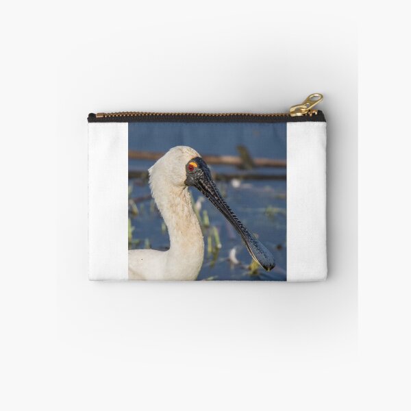 Item preview, Royal Spoonbill designed and sold by Kym Bradley.