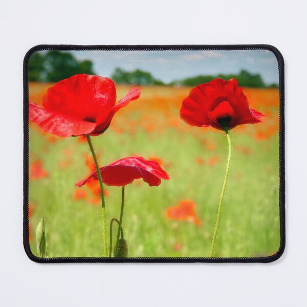 Item preview, Poppy Field designed and sold by Viv Thompson Photography .