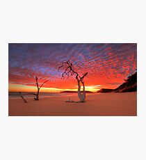Geminus Insula Magia Photographic Print
