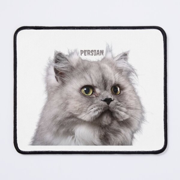 Item preview, Persian Cat designed and sold by Abdessamad HAFIANI ⭐⭐⭐⭐⭐.