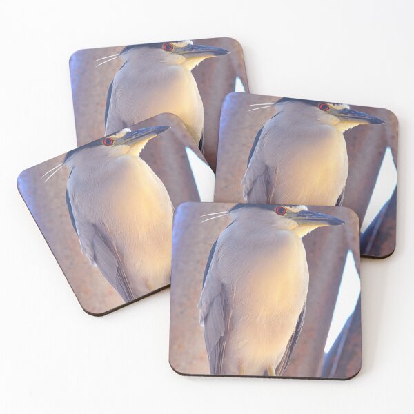 Item preview, Black Crowned Night Heron Vertical designed and sold by LisaWootenPhoto.