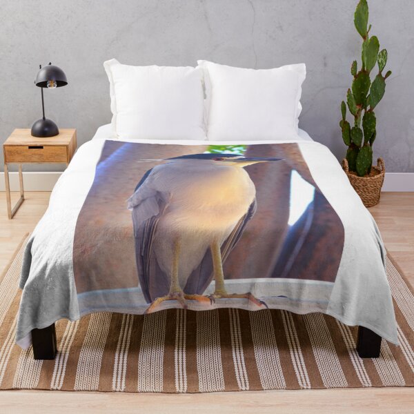 Item preview, Black Crowned Night Heron Vertical designed and sold by LisaWootenPhoto.