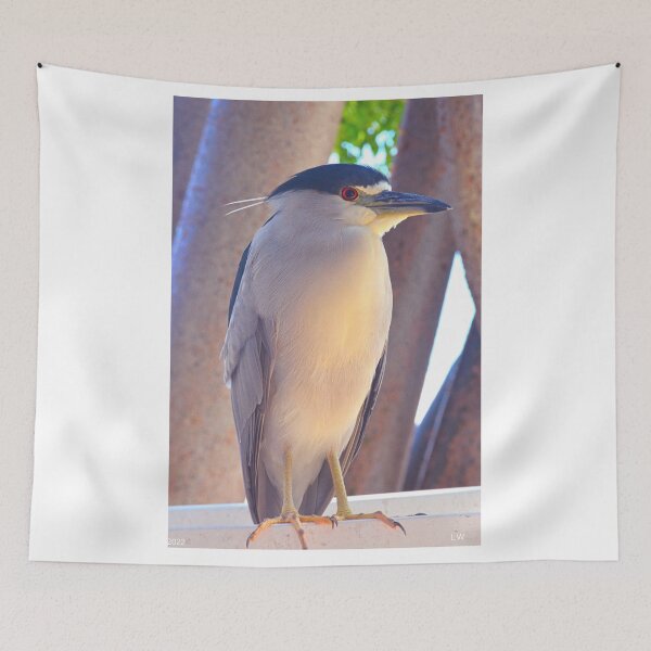 Item preview, Black Crowned Night Heron Vertical designed and sold by LisaWootenPhoto.