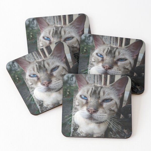 Item preview, Curious Kitty, Loubille. Street cats, wild felines and cute kitties portraits. designed and sold by JonDelorme.