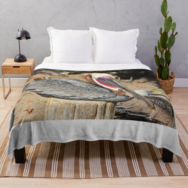 Item preview, Resting Brown Pelican designed and sold by LisaWootenPhoto.
