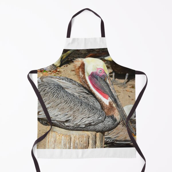 Item preview, Resting Brown Pelican designed and sold by LisaWootenPhoto.