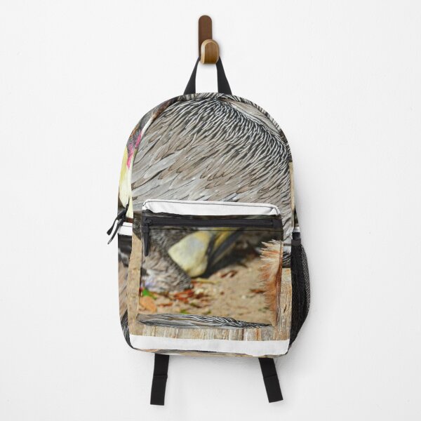 Item preview, Resting Brown Pelican designed and sold by LisaWootenPhoto.