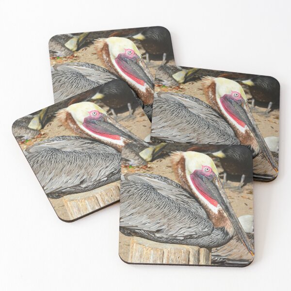 Item preview, Resting Brown Pelican designed and sold by LisaWootenPhoto.