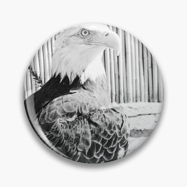 Item preview, Beautiful Black And White Bald Eagle designed and sold by LisaWootenPhoto.