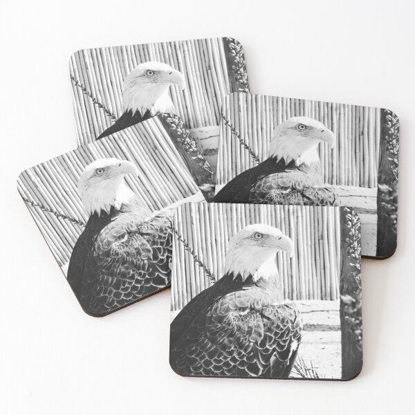 Item preview, Beautiful Black And White Bald Eagle designed and sold by LisaWootenPhoto.