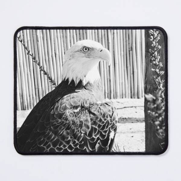 Item preview, Beautiful Black And White Bald Eagle designed and sold by LisaWootenPhoto.
