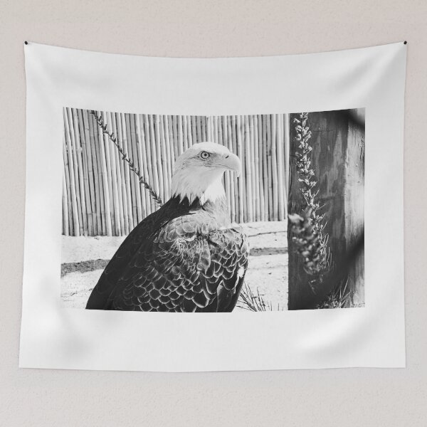 Item preview, Beautiful Black And White Bald Eagle designed and sold by LisaWootenPhoto.