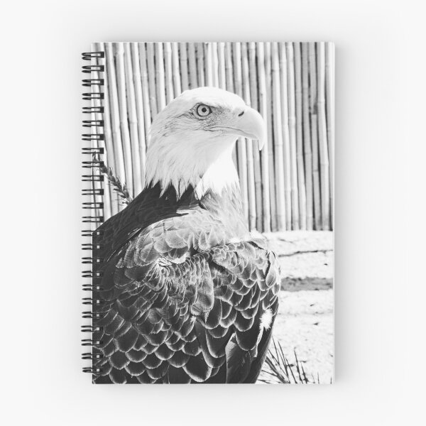 Item preview, Beautiful Black And White Bald Eagle designed and sold by LisaWootenPhoto.