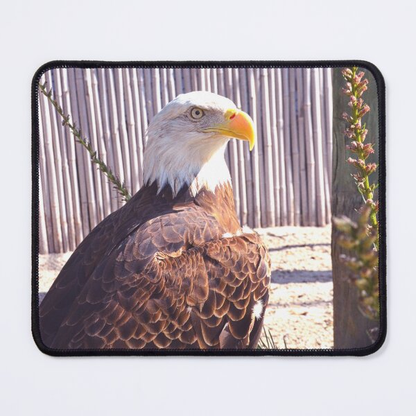 Item preview, Beautiful Bald Eagle designed and sold by LisaWootenPhoto.