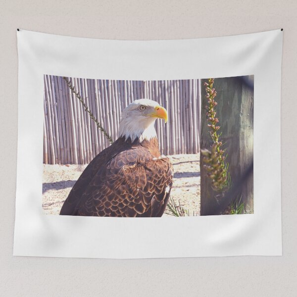 Item preview, Beautiful Bald Eagle designed and sold by LisaWootenPhoto.