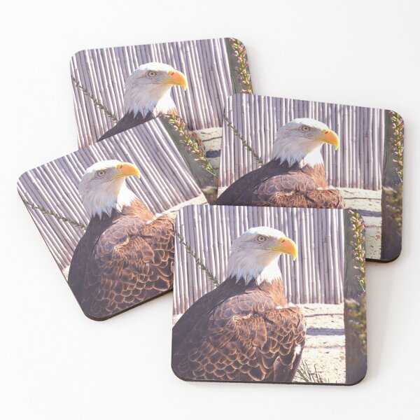 Item preview, Beautiful Bald Eagle designed and sold by LisaWootenPhoto.