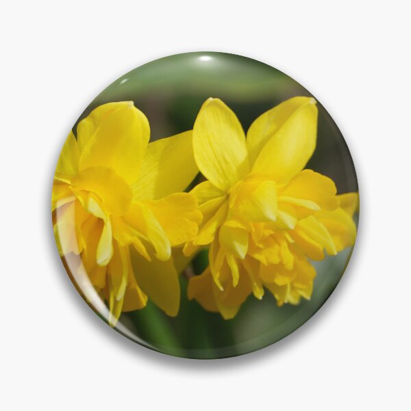 Item preview, Yellow mini daffodils in spring with a yellow background designed and sold by Binas-gallery.