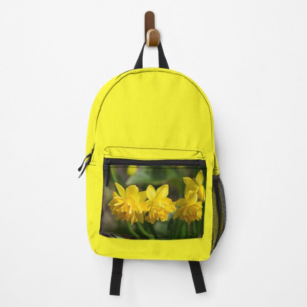 Item preview, Yellow mini daffodils in spring with a yellow background designed and sold by Binas-gallery.