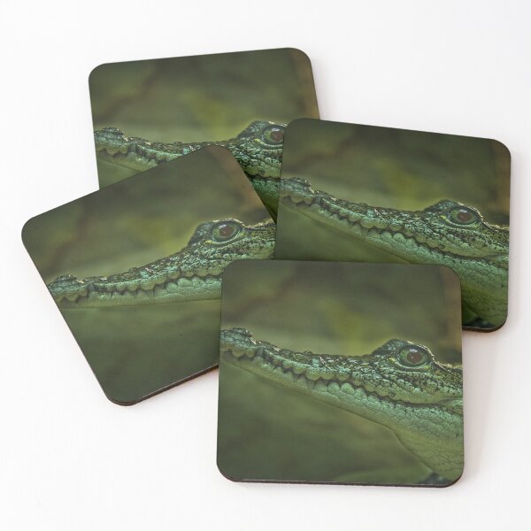Item preview, Morelet's Crocodile designed and sold by Viv Thompson Photography .
