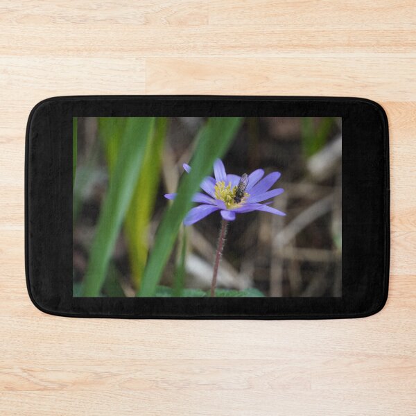 Item preview, Blue anemone with bow tie in spring with black background designed and sold by Binas-gallery.