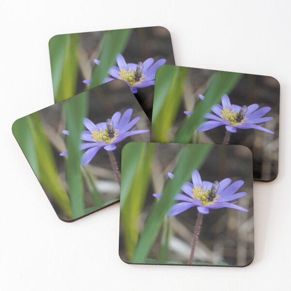 Item preview, Blue anemone with bow tie in spring with black background designed and sold by Binas-gallery.