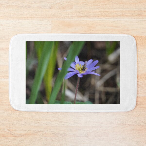 Item preview, Blue anemone with a fly in spring with white background designed and sold by Binas-gallery.