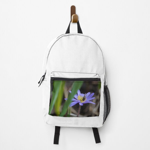 Item preview, Blue anemone with a fly in spring with white background designed and sold by Binas-gallery.