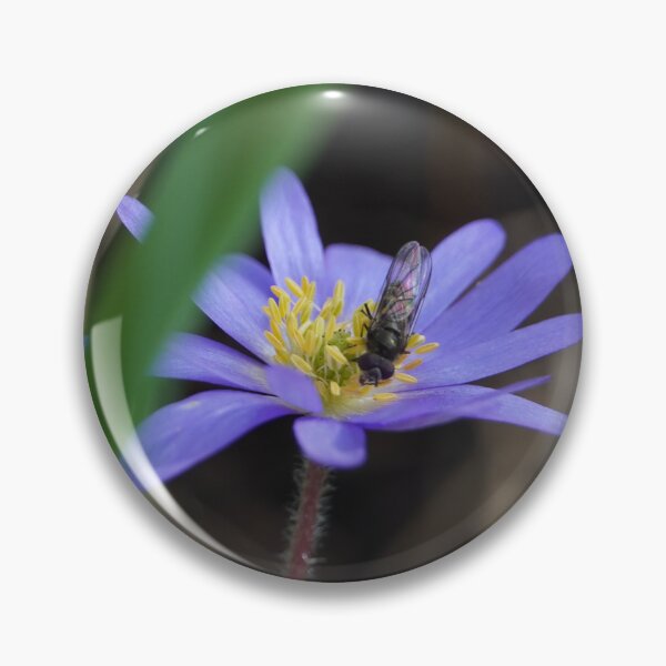 Item preview, Blue anemone with bow tie in spring with black background designed and sold by Binas-gallery.