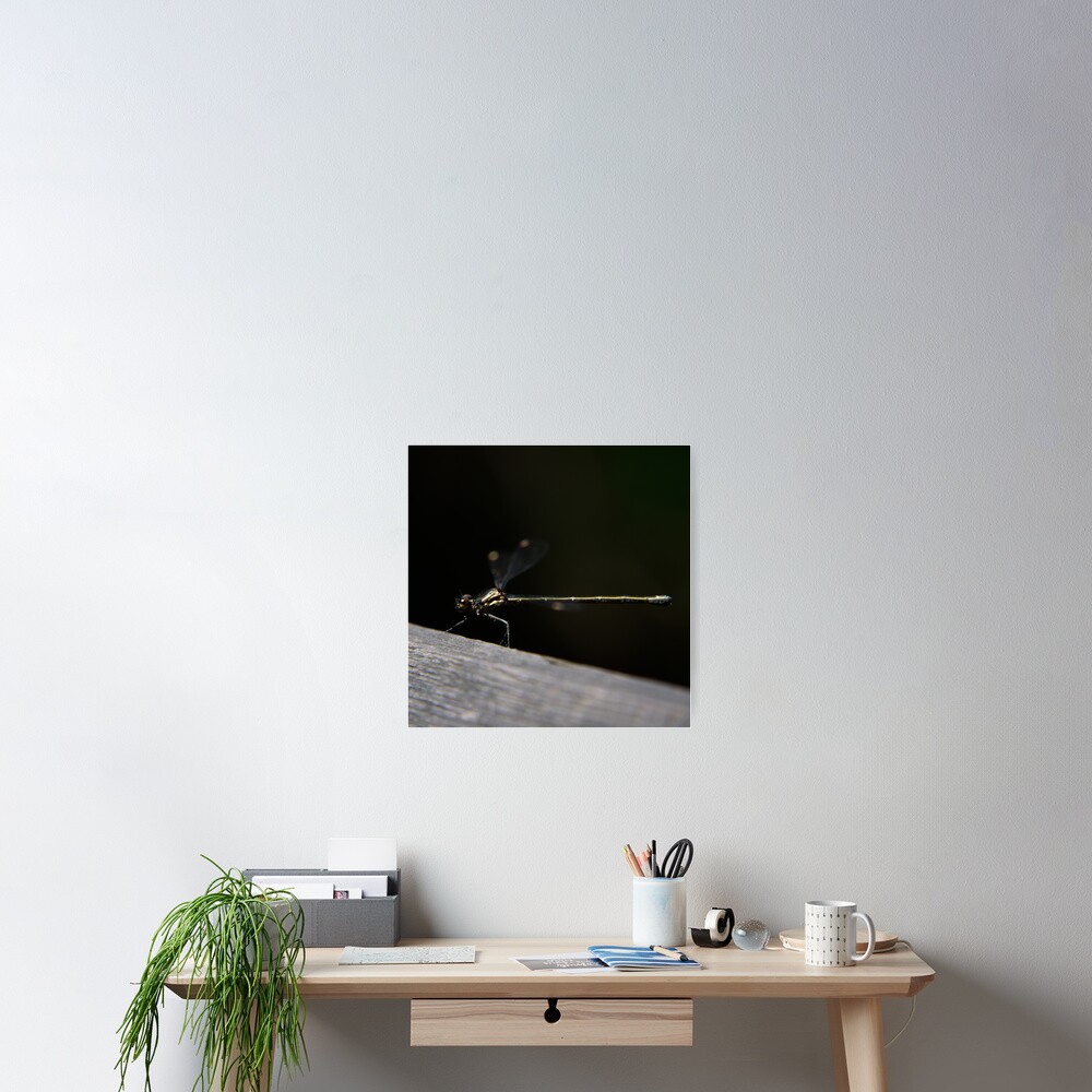 Dragonfly Poster