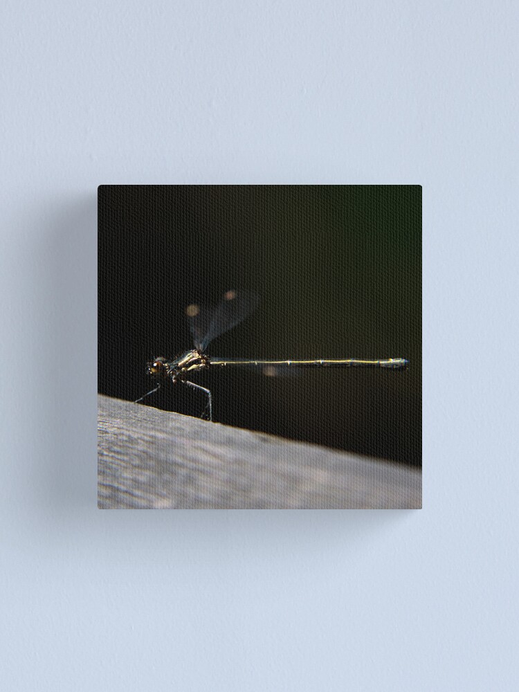 Alternate view of Dragonfly Canvas Print