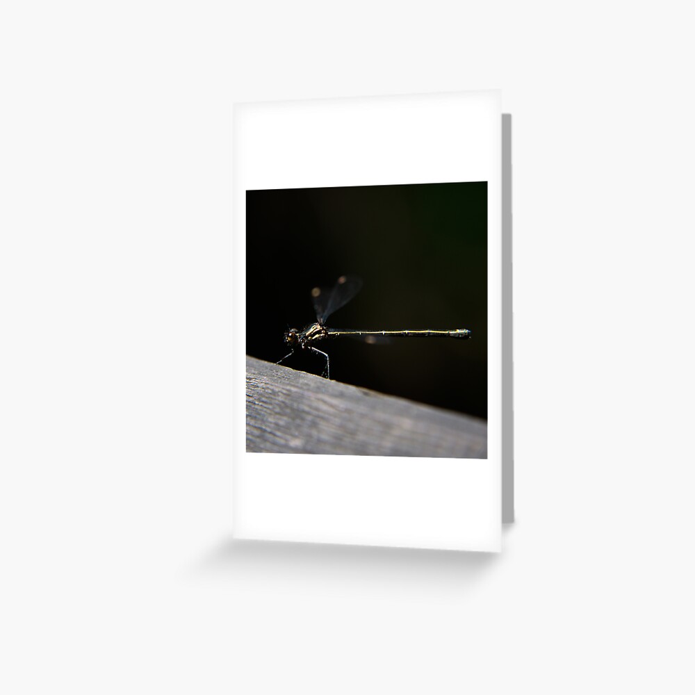 Dragonfly Greeting Card