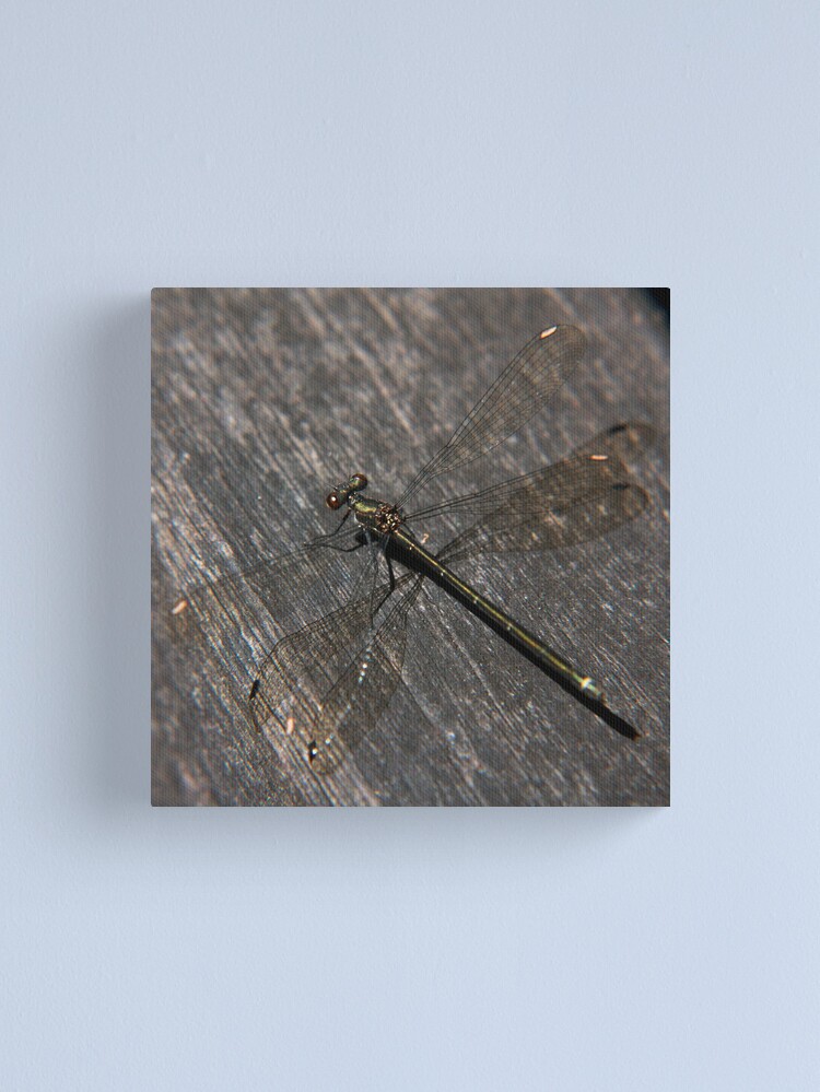 Alternate view of Dragonfly Canvas Print