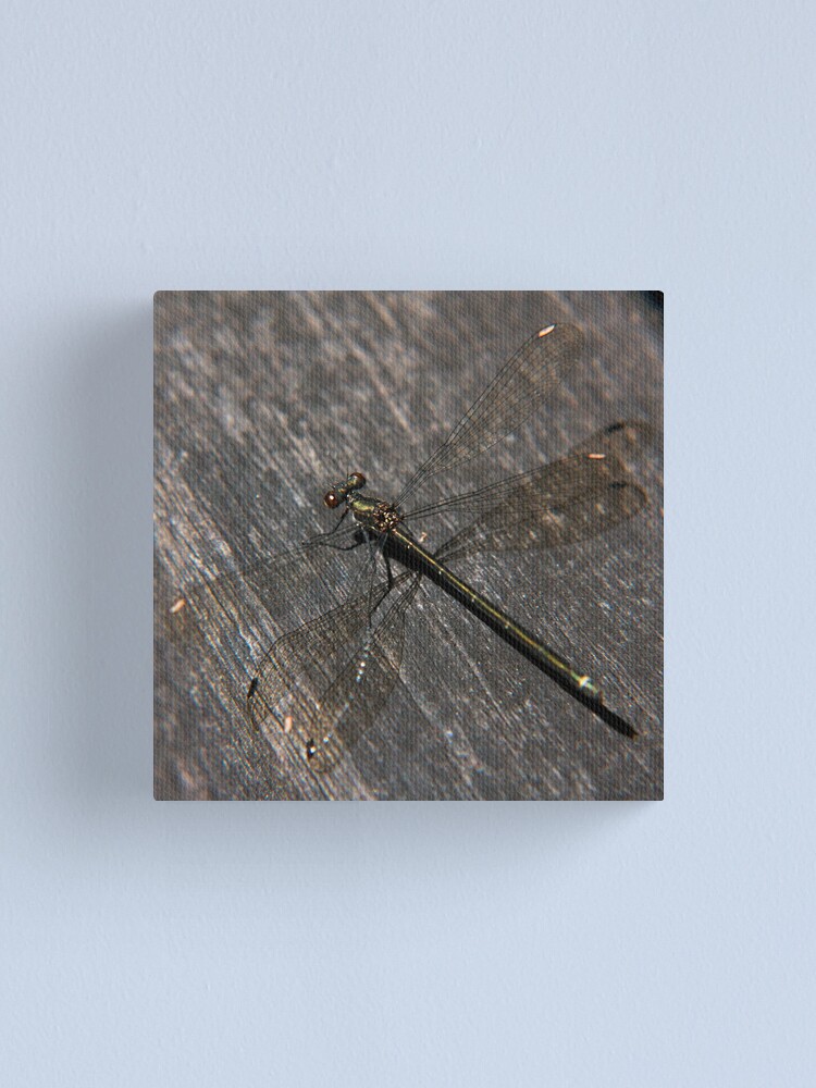 Alternate view of Dragonfly Canvas Print