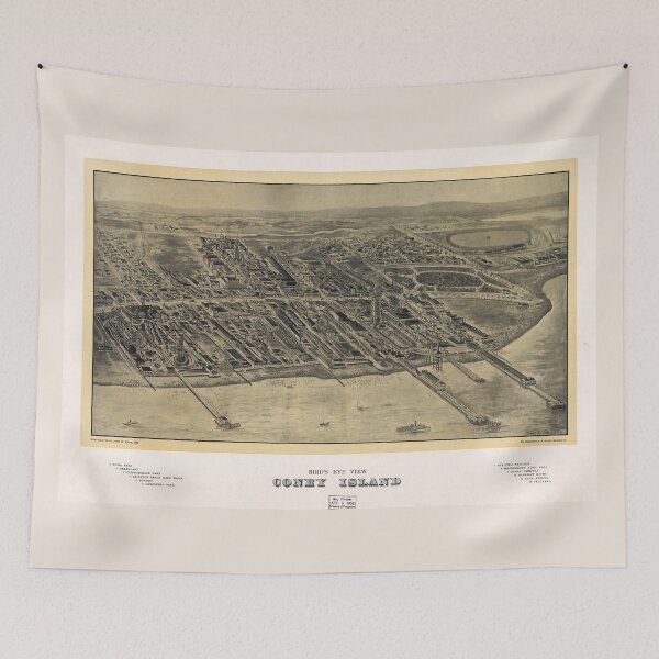 Item preview, Bird's Eye View of Coney Island, New York (1906) designed and sold by allhistory.