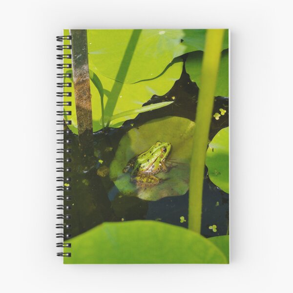 Item preview, Frog spotting #1c designed and sold by VelesPhoto.