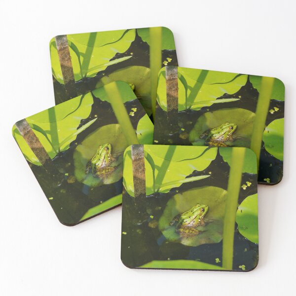 Item preview, Frog spotting #1c designed and sold by VelesPhoto.
